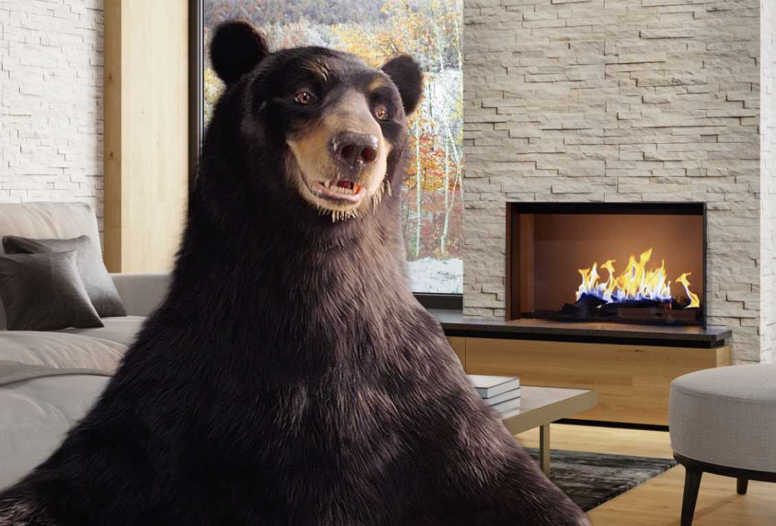 Harry the SCANA Bear in a living room with a natural gas fireplace.