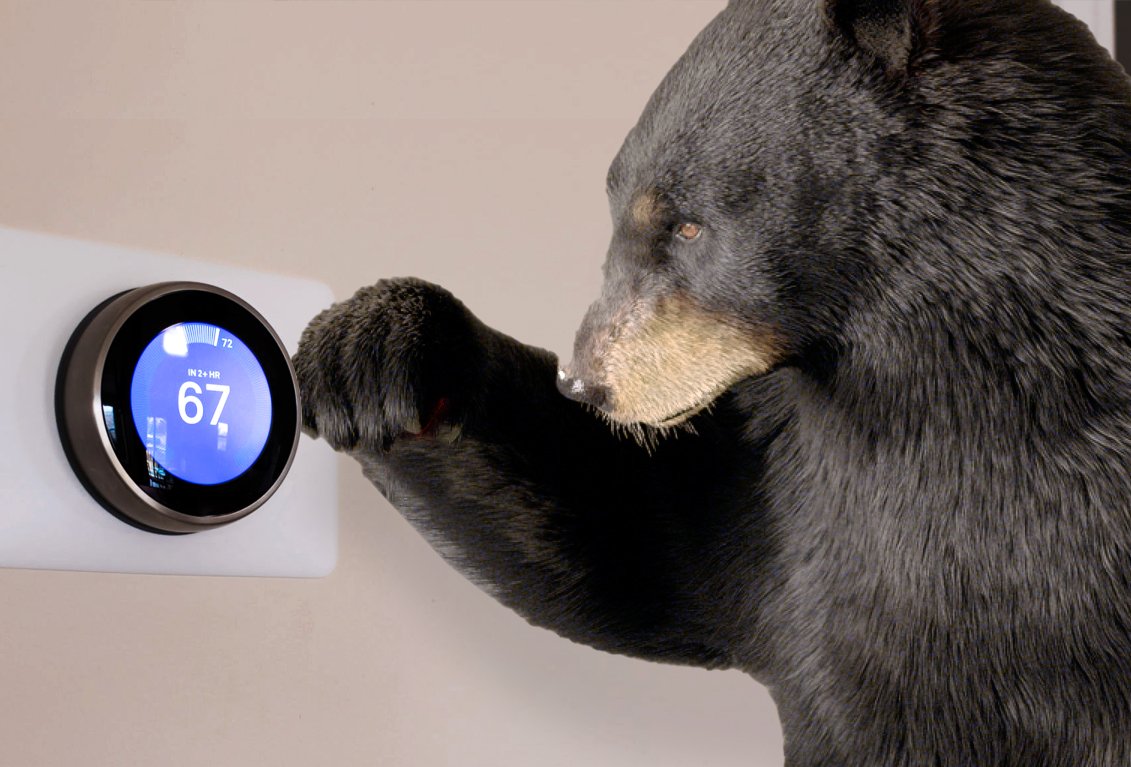 Harry the SCANA Bear adjusting a thermostat.